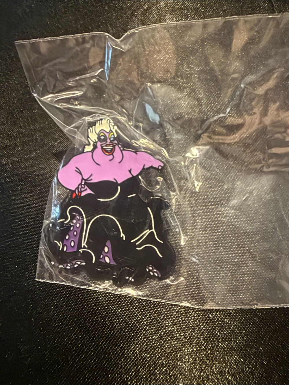 🌟Bundle Sale Ursula Pin